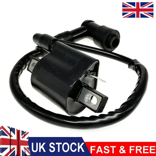 Ignition coil with spark plug
